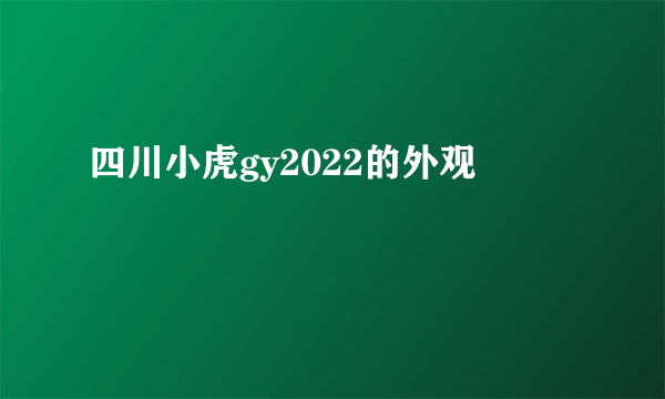 四川小虎gy2022的外观