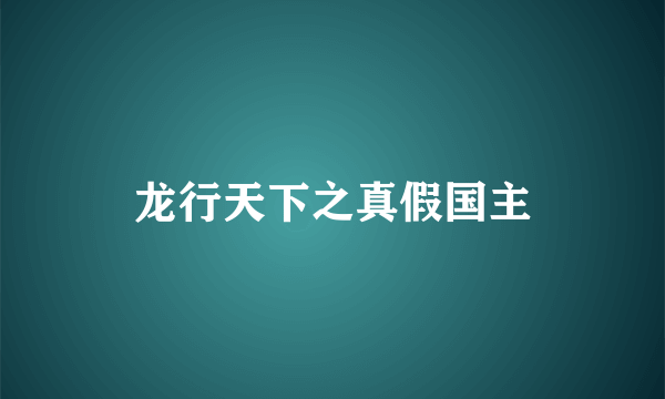 龙行天下之真假国主