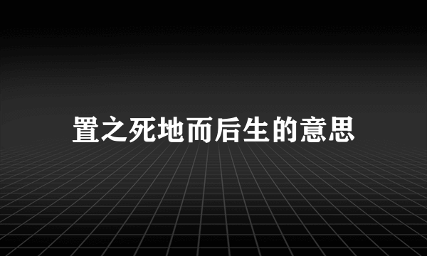 置之死地而后生的意思