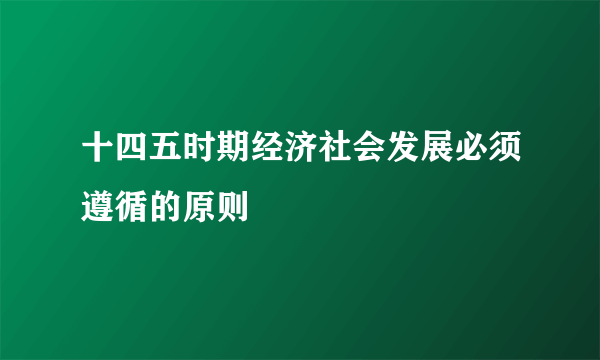 十四五时期经济社会发展必须遵循的原则