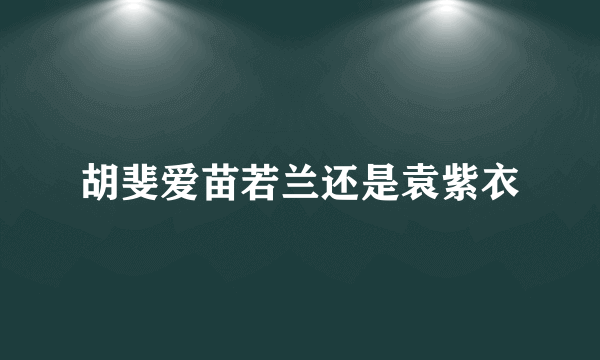 胡斐爱苗若兰还是袁紫衣