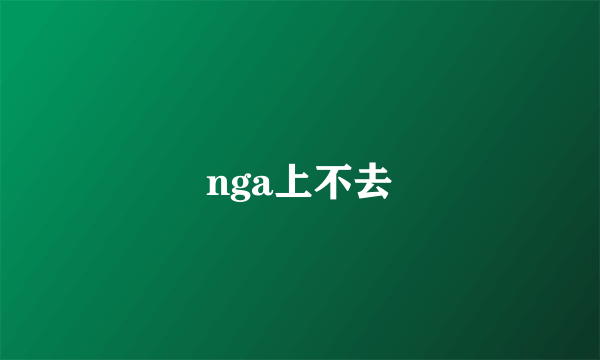 nga上不去