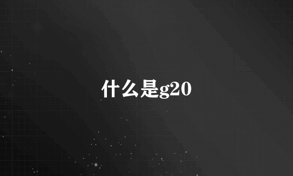 什么是g20