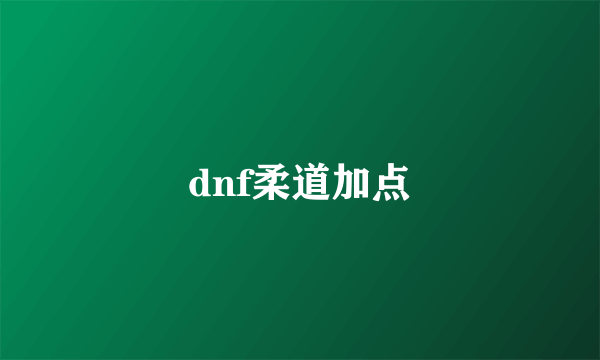 dnf柔道加点