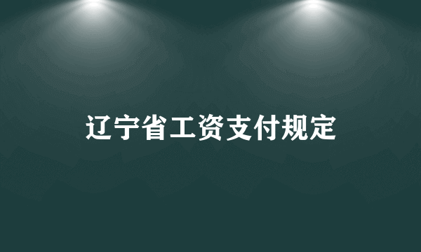 辽宁省工资支付规定