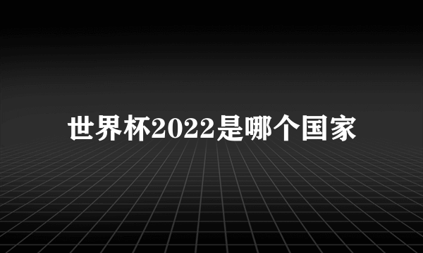 世界杯2022是哪个国家