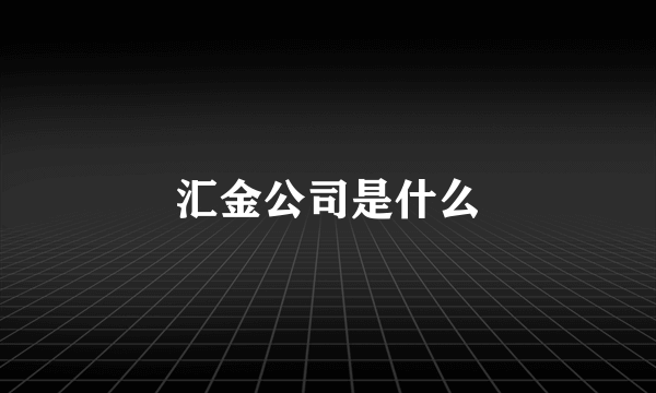 汇金公司是什么