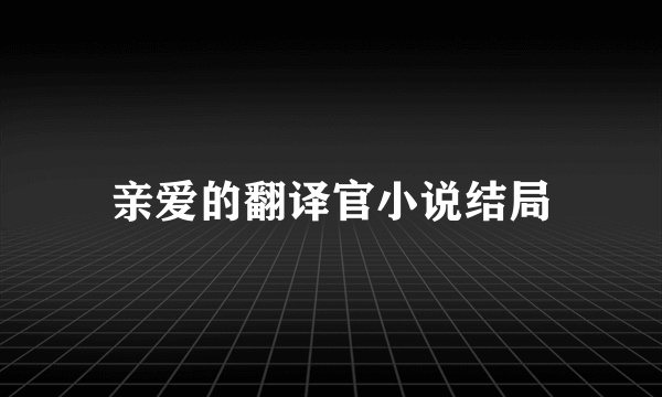 亲爱的翻译官小说结局