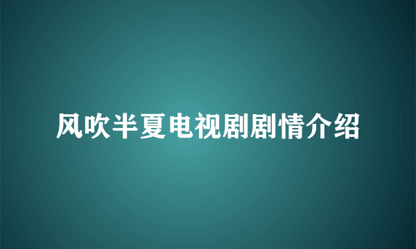 风吹半夏电视剧剧情介绍