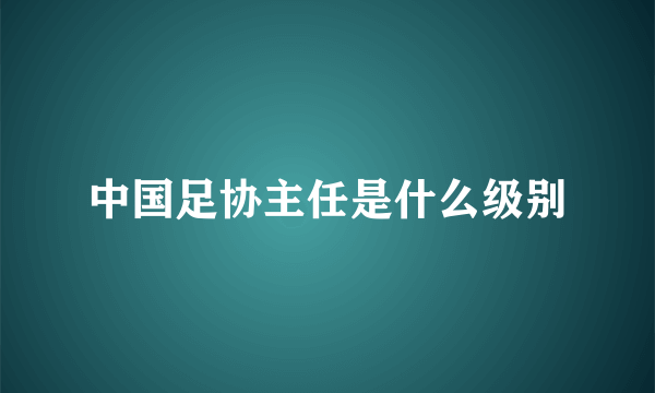 中国足协主任是什么级别