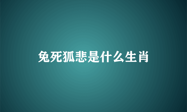 兔死狐悲是什么生肖