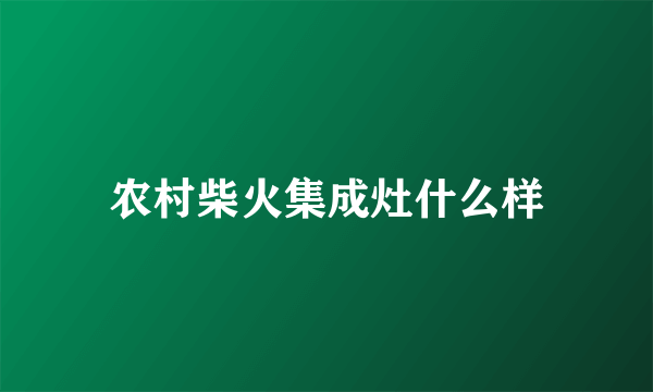 农村柴火集成灶什么样