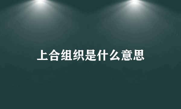 上合组织是什么意思