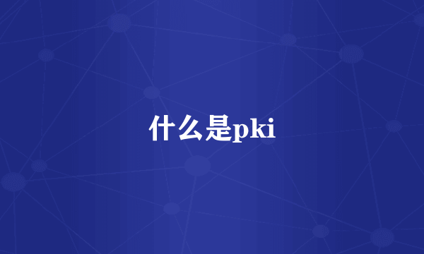 什么是pki