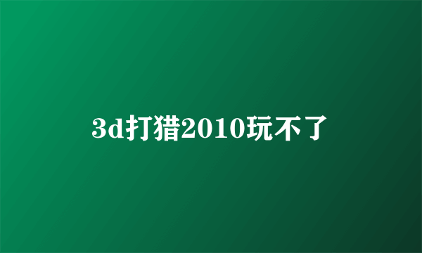 3d打猎2010玩不了