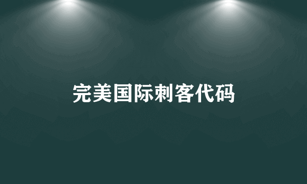 完美国际刺客代码