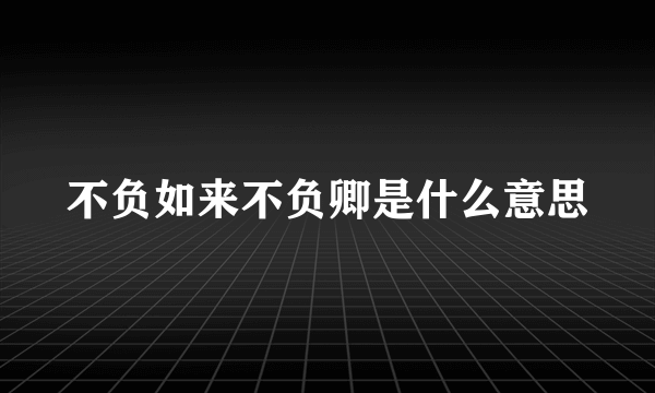 不负如来不负卿是什么意思