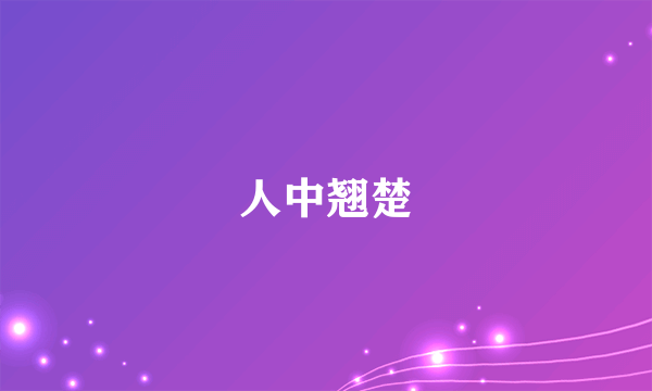 人中翘楚