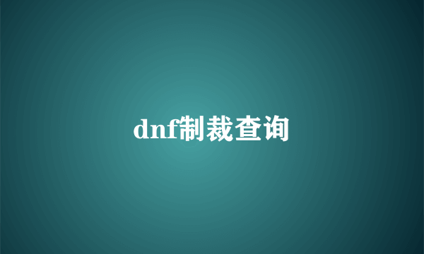 dnf制裁查询