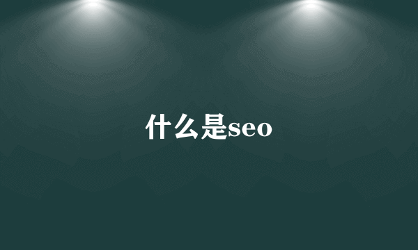 什么是seo