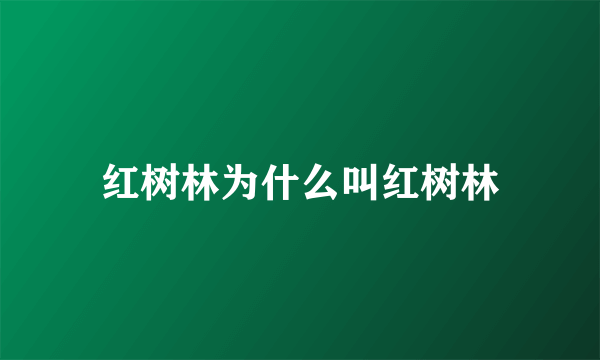 红树林为什么叫红树林