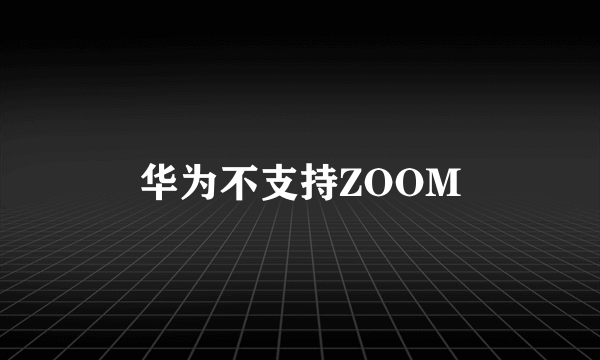 华为不支持ZOOM