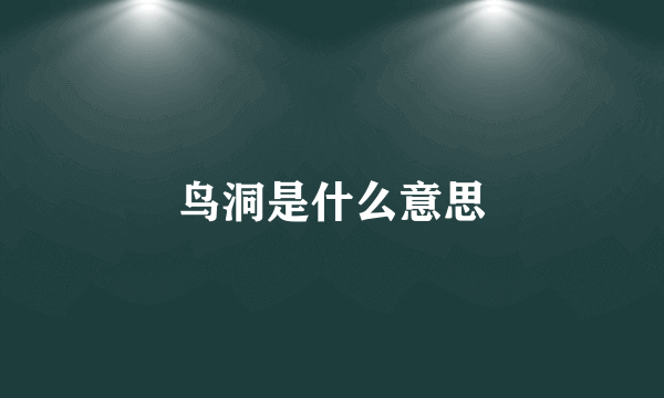 鸟洞是什么意思