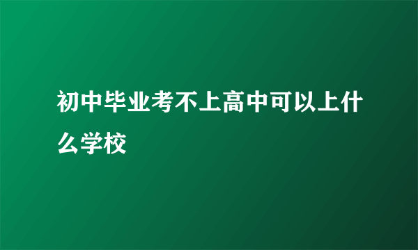 初中毕业考不上高中可以上什么学校