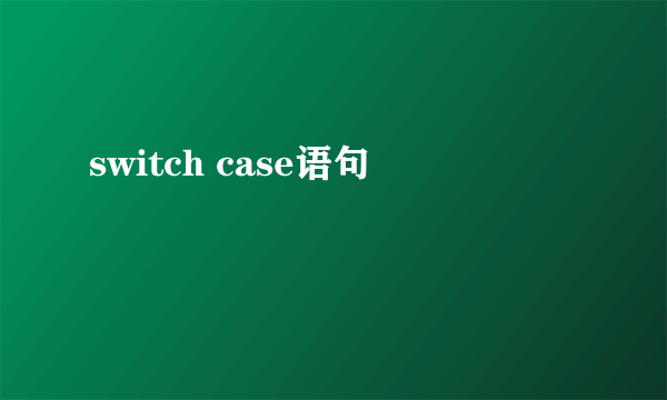 switch case语句