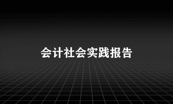 会计社会实践报告