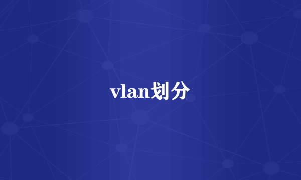 vlan划分