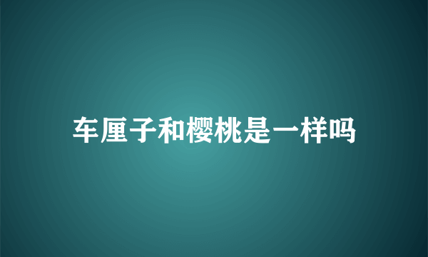 车厘子和樱桃是一样吗