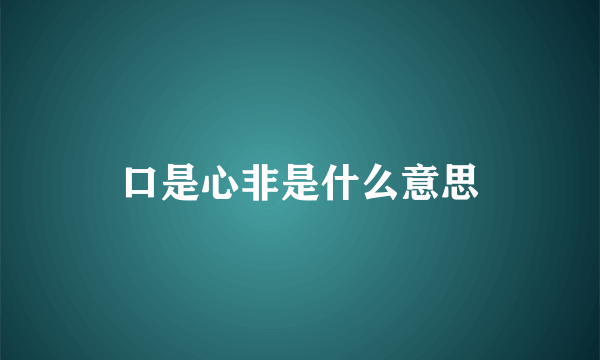 口是心非是什么意思