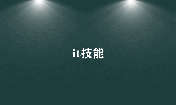 it技能