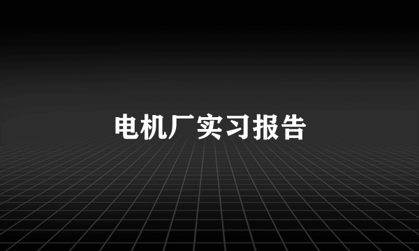 电机厂实习报告