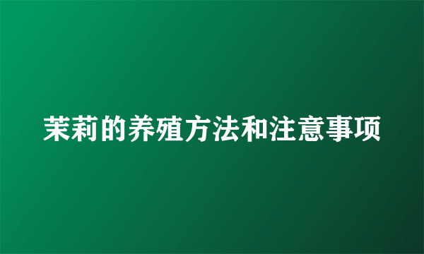 茉莉的养殖方法和注意事项