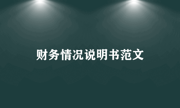 财务情况说明书范文