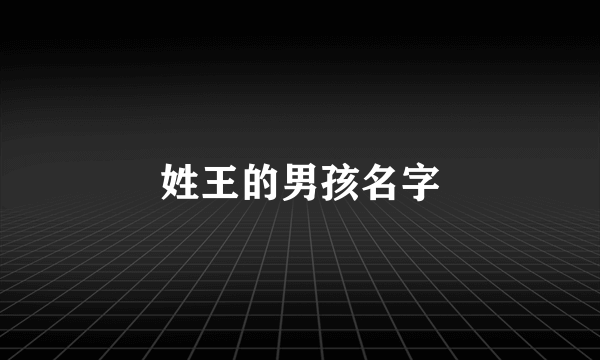 姓王的男孩名字