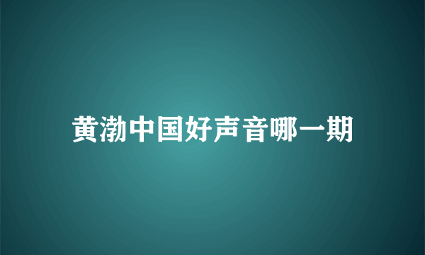 黄渤中国好声音哪一期