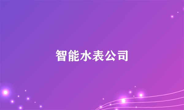 智能水表公司