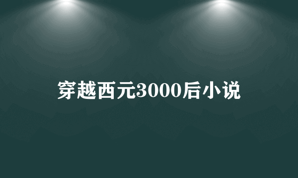 穿越西元3000后小说