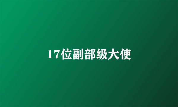 17位副部级大使