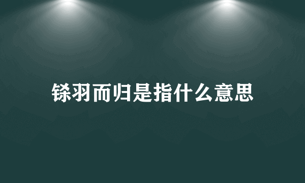 铩羽而归是指什么意思