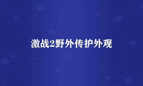 激战2野外传护外观