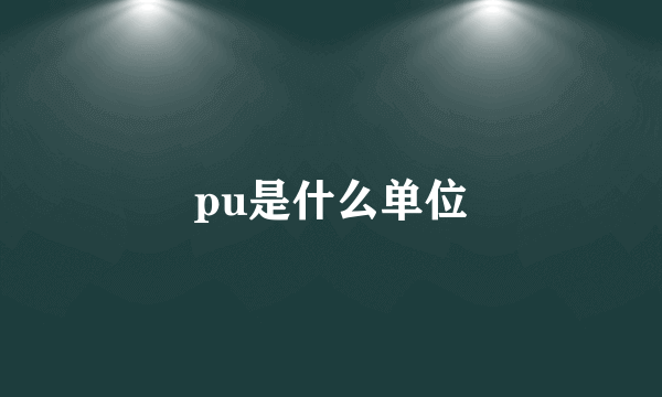 pu是什么单位