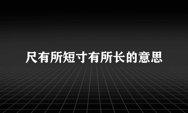 尺有所短寸有所长的意思