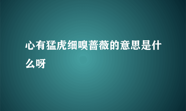 心有猛虎细嗅蔷薇的意思是什么呀