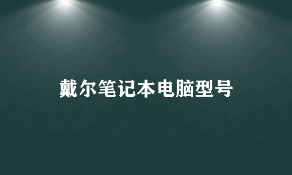 戴尔笔记本电脑型号