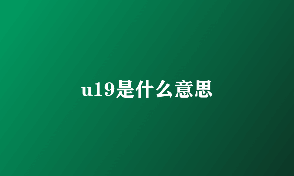 u19是什么意思