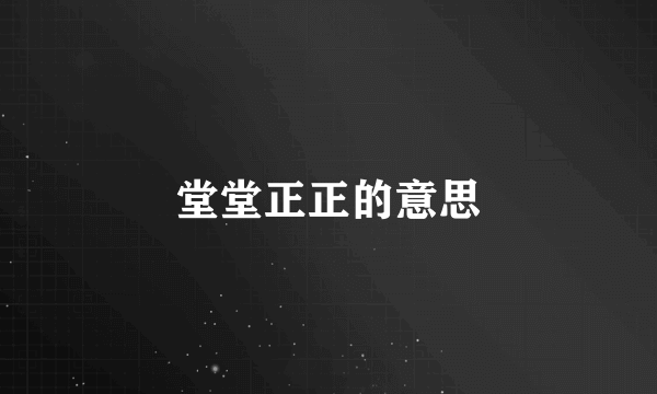 堂堂正正的意思